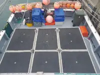 Tàu câu dài để bán
