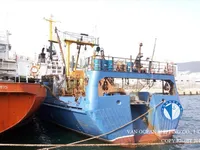 Tàu kéo lưới để bán