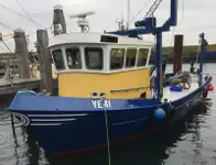Trawler rao bán