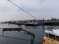 Tàu kéo lưới để bán