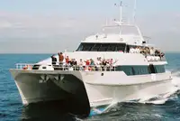 Catamaran rao bán