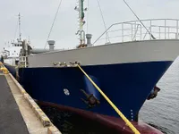 General Cargo/Multi-purpose để bán