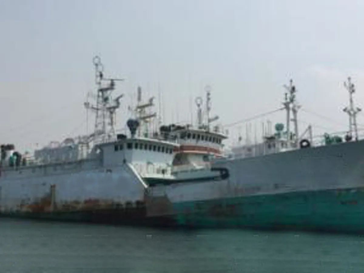 Tàu câu dài để bán