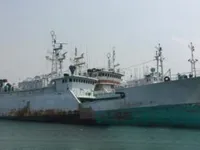 Tàu câu dài để bán
