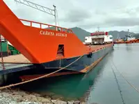 Tàu đổ bộ, chở hàng để bán