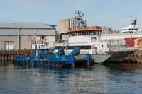 Catamaran rao bán