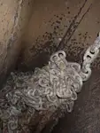 Tàu chở hàng rời để bán