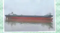 Tàu container rao bán