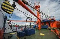 Tàu container để bán