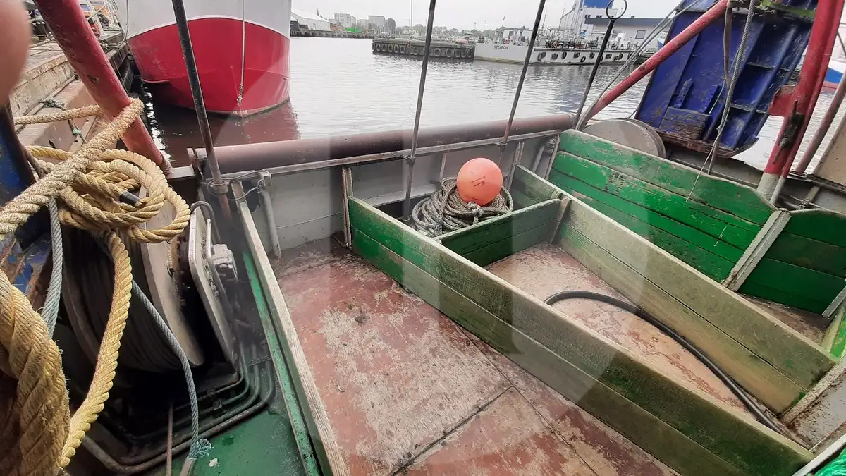 Tàu chở cá sống để bán