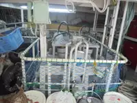 Tàu tuần tra để bán