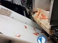 Tàu kéo lưới để bán