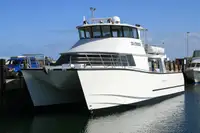 Tàu hai thân để bán