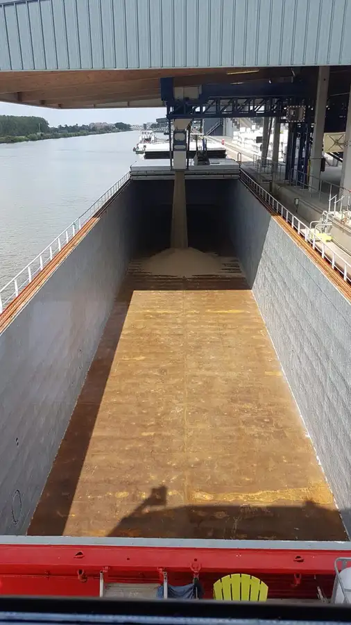 Tàu chở hàng rời để bán