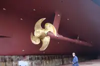 Tàu du lịch để bán