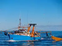 Trawler rao bán
