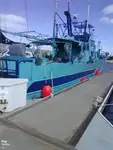 Trawler rao bán