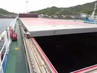 Tàu chở hàng rời để bán