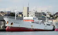 Trawler rao bán