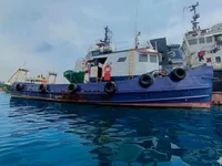Tàu cung cấp để bán