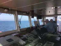 Tàu chở hàng rời để bán