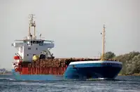 Tàu chở hàng rời để bán