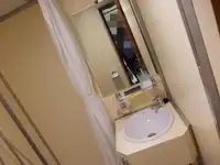 Tàu chở hàng rời để bán