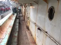 Tàu câu mực để bán