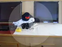 Tàu kéo lưới để bán