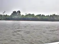Sà lan để bán