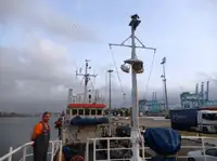Tàu làm việc để bán