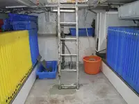 Tàu kéo lưới để bán