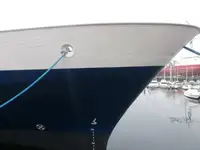 Tàu container rao bán