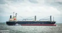 Tàu chở hàng rời để bán