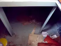 Tàu kéo để bán