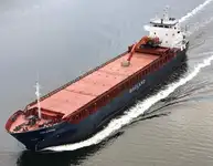 Tàu chở hàng rời để bán