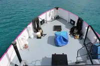 General Cargo/Multi-purpose để bán