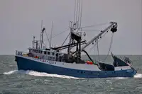 Tàu lưới vây để bán