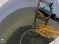 Tàu chế biến cá để bán
