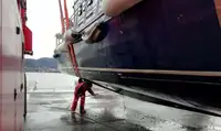Tàu làm việc để bán