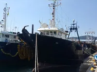 Tàu kéo lưới để bán
