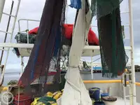 Tàu kéo lưới để bán