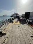 Tàu container để bán