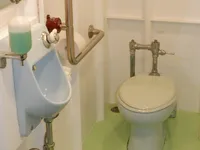 Tàu RoPax để bán