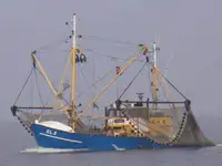 Trawler rao bán