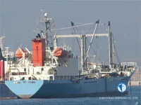Tàu lạnh để bán