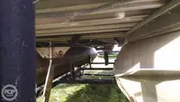 Tàu container để bán