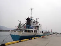 General Cargo/Multi-purpose để bán
