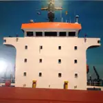 Tàu chở hàng rời để bán