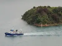 Tàu hai thân để bán